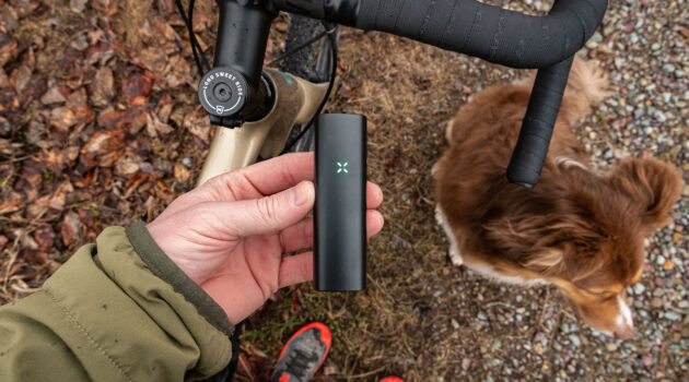 Cycling with the Pax Plus and the Pup (Zoey)