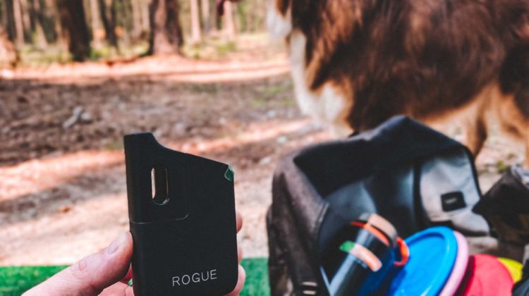 Disc Golf with the Healthy Rips Rogue